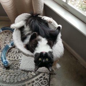 Fundraising Page: Stacy Turner